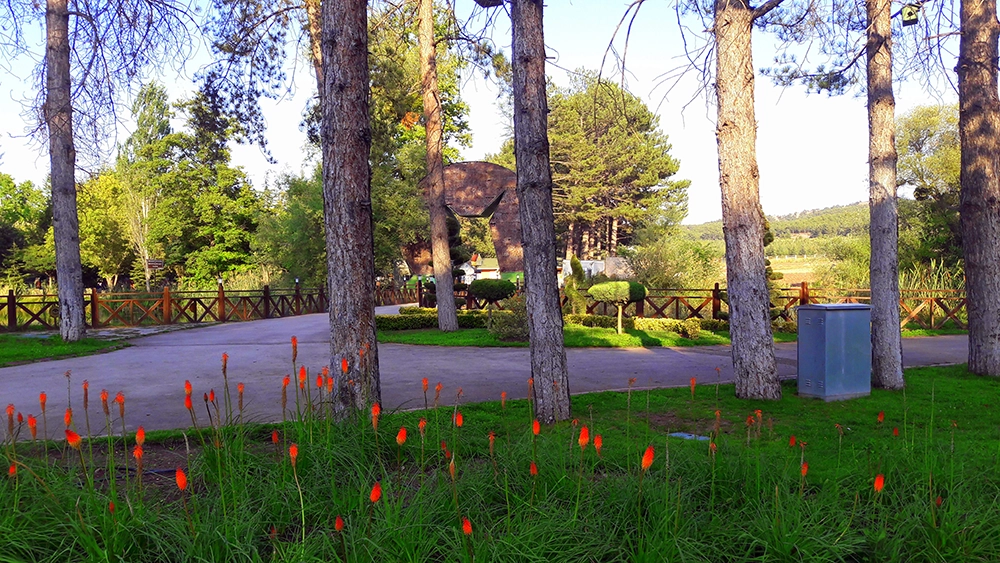 Botanic Park